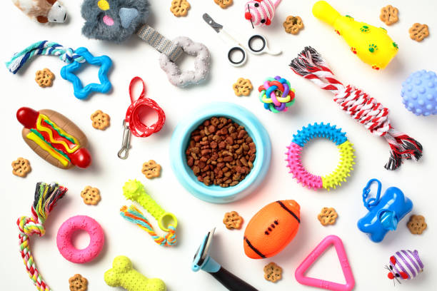 pet electronics supply chain manufacturing details