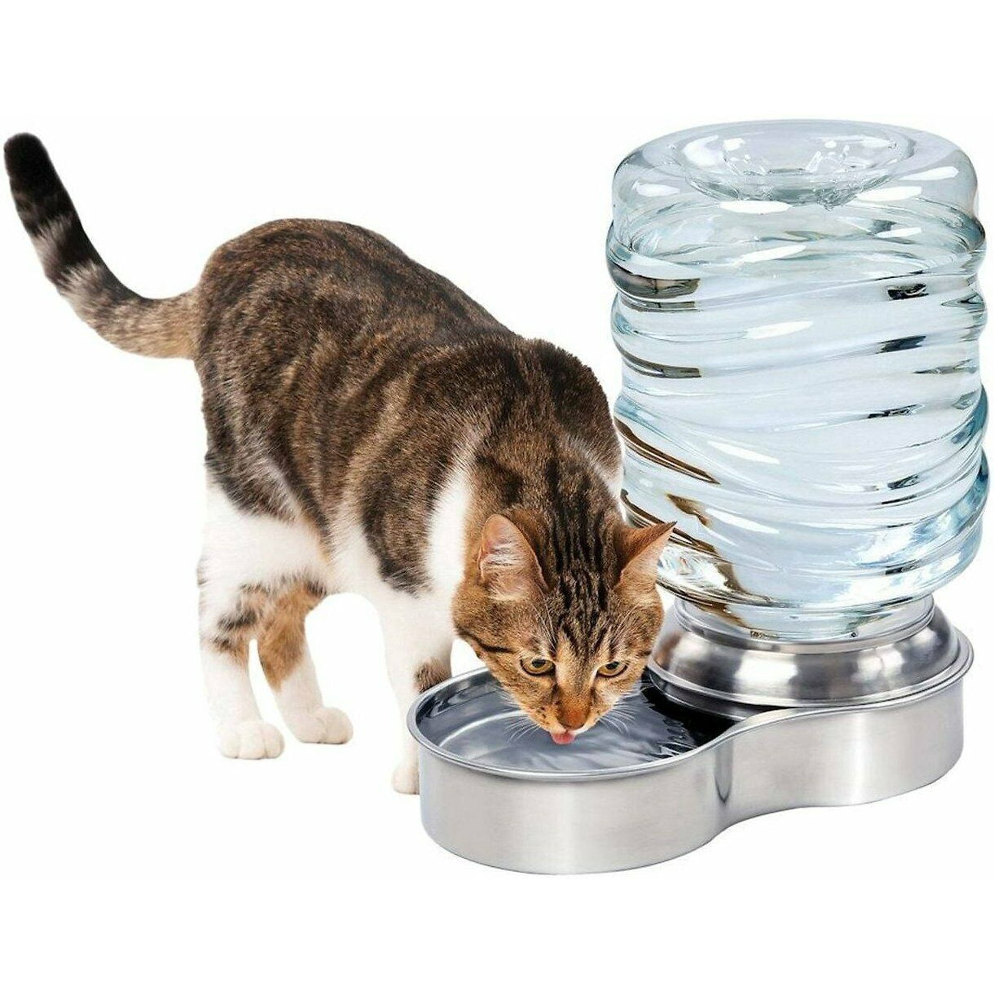 pet gravity water fountain manufacturing details