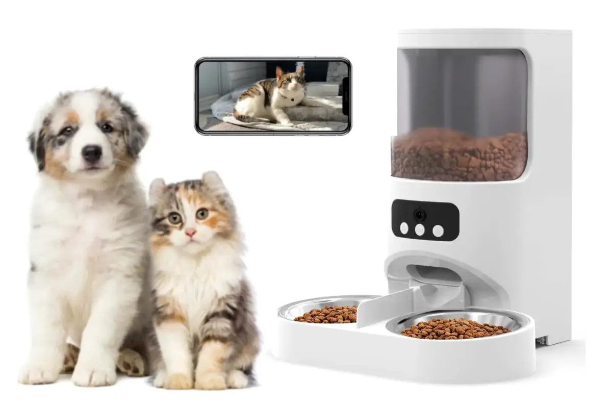pet product trends 2025 OEM Manufacturer