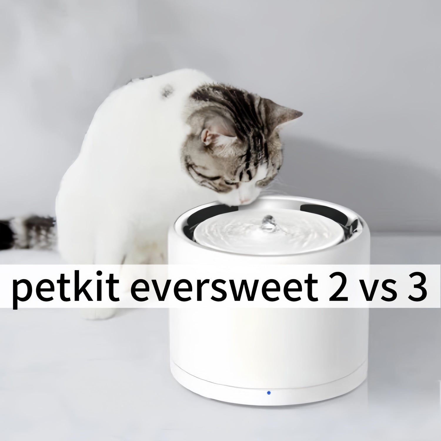 petkit eversweet 2 vs 3 manufacturing details