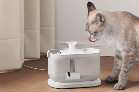 petlibro cat water fountain manufacturing details