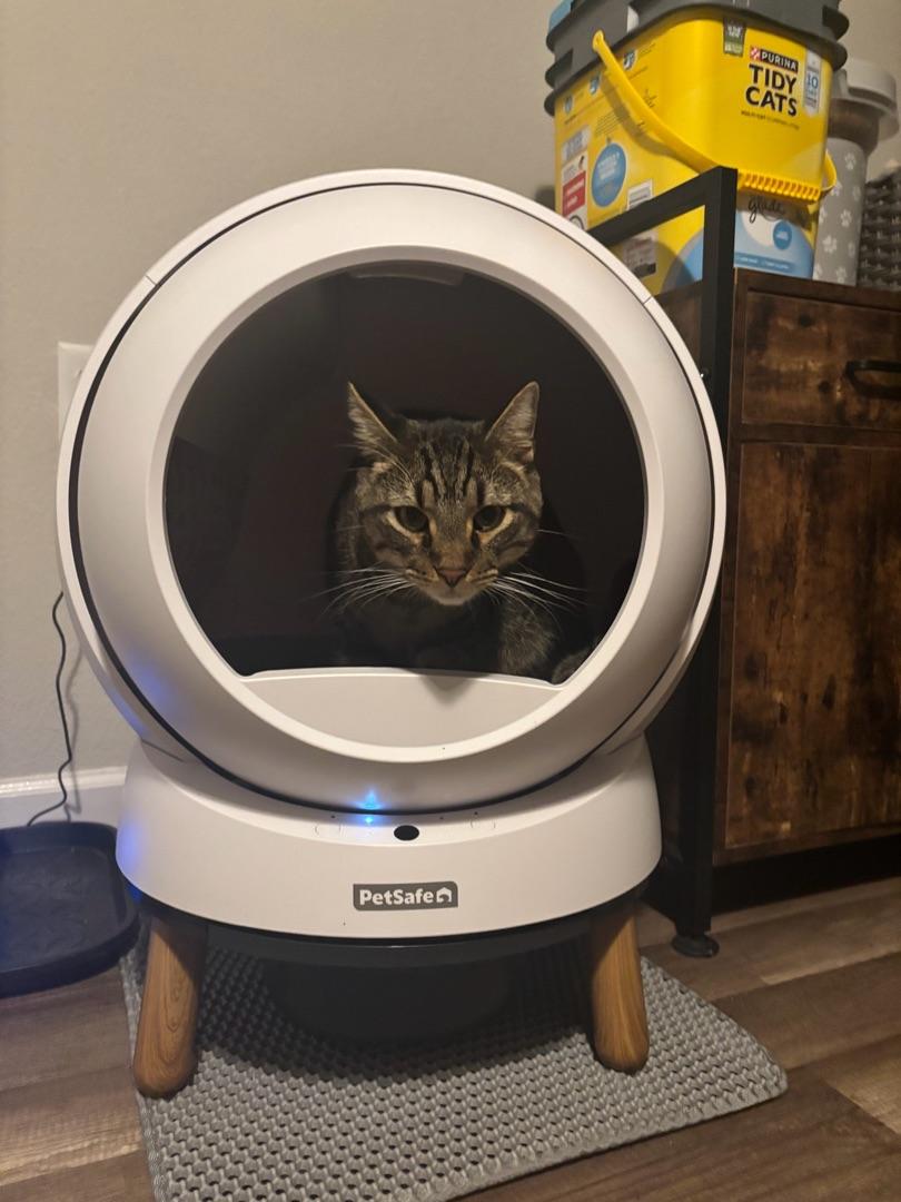 petsafe scoopfree smartspin automatic self-cleaning litter box manufacturing details