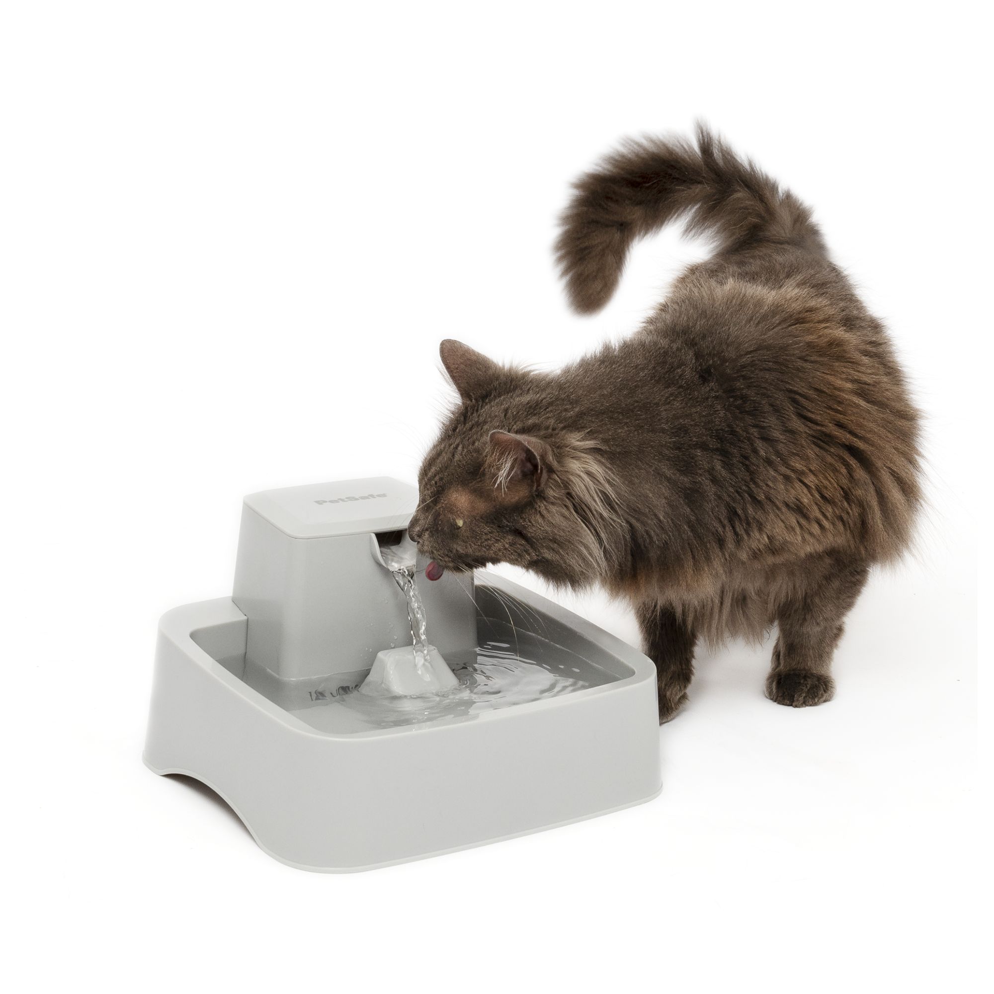 petsmart water fountain for cats manufacturing details