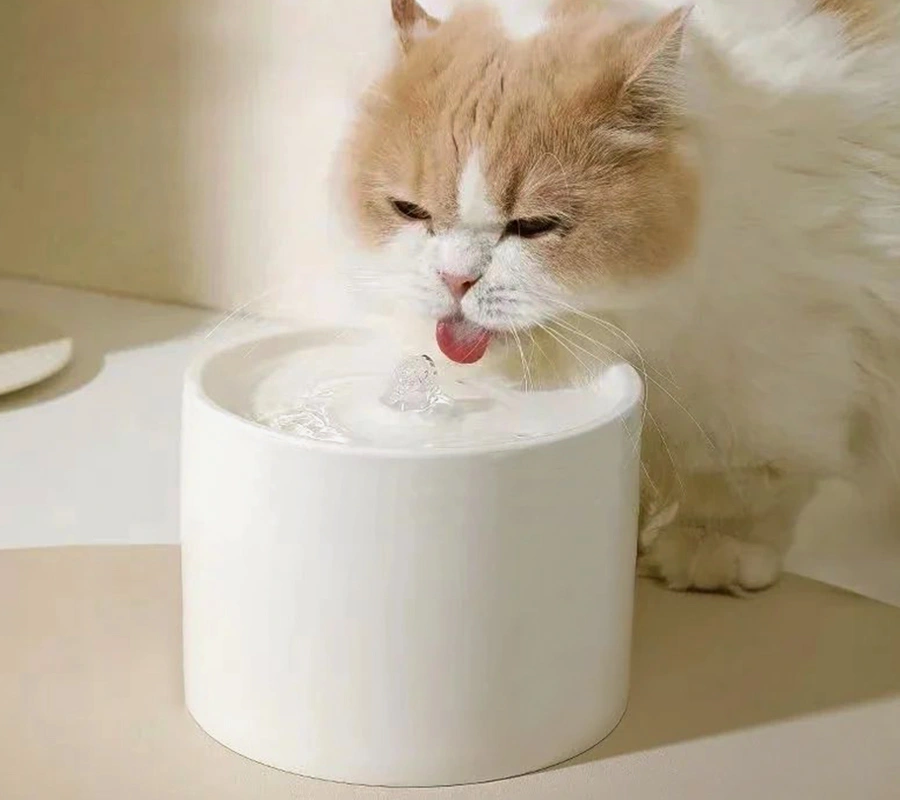 private label pet water fountain manufacturing details