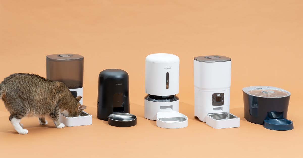 quiet automatic cat feeder manufacturing details