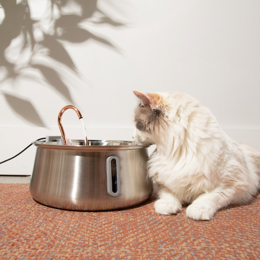 reddit cat water fountain manufacturing details