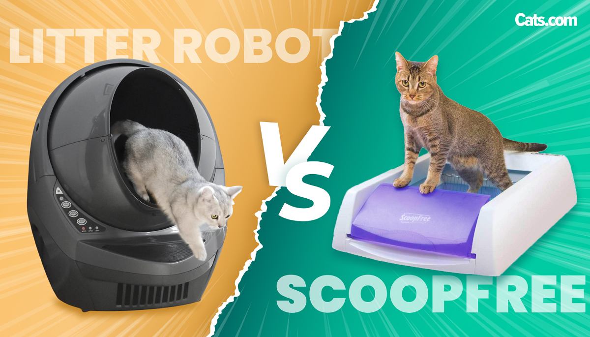 scoopfree vs litter robot manufacturing details