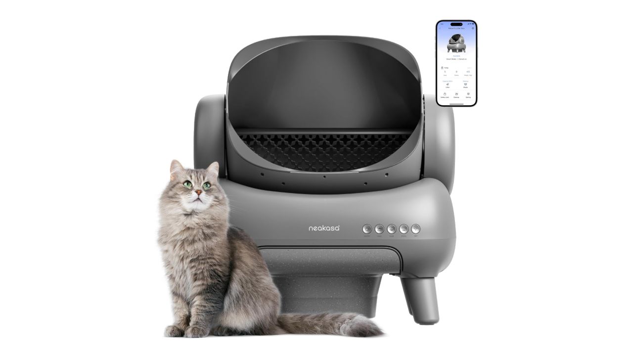 self cleaning litter box manufacturing details