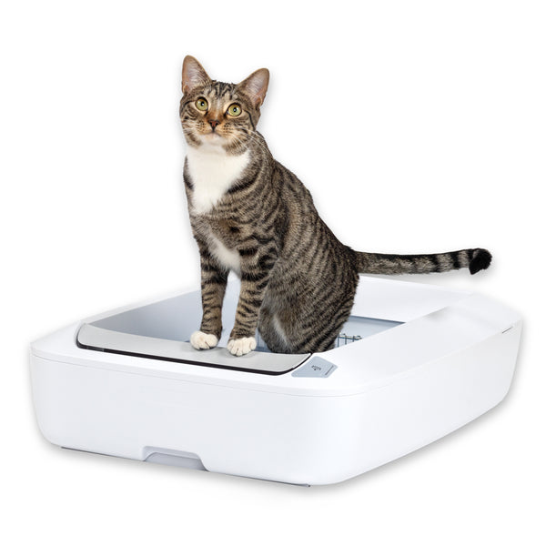 self cleaning litter boxes manufacturing details