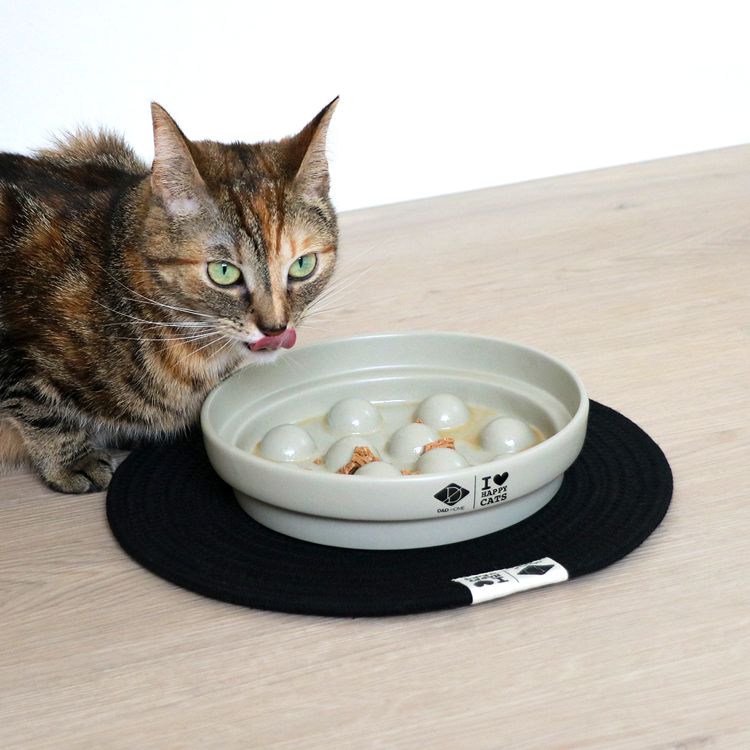 slow cat feeders OEM Manufacturer