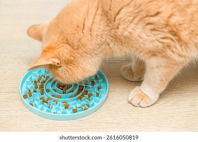 slow cat feeders manufacturing details