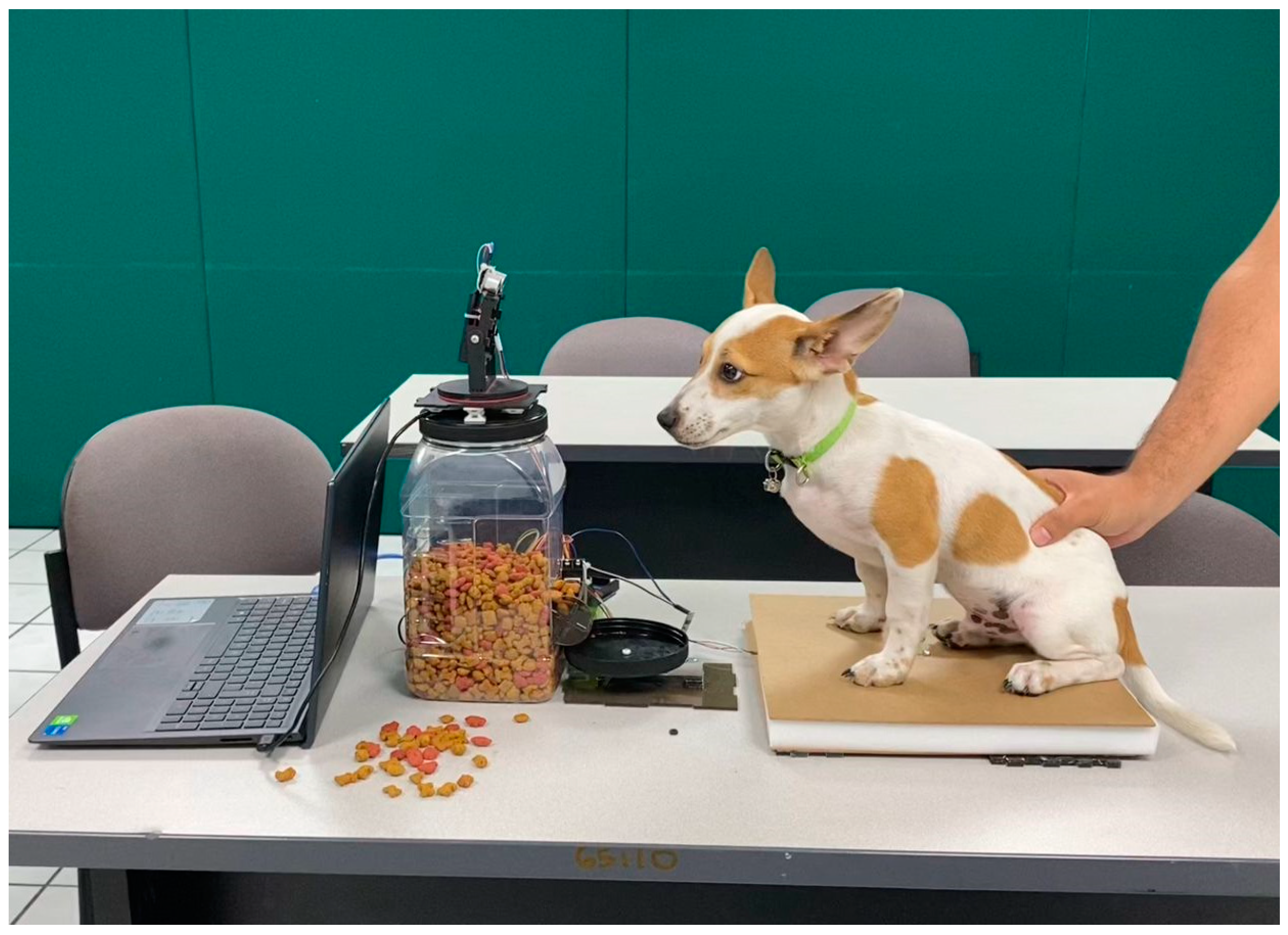 Smart pet feeder manufacturer industrial application