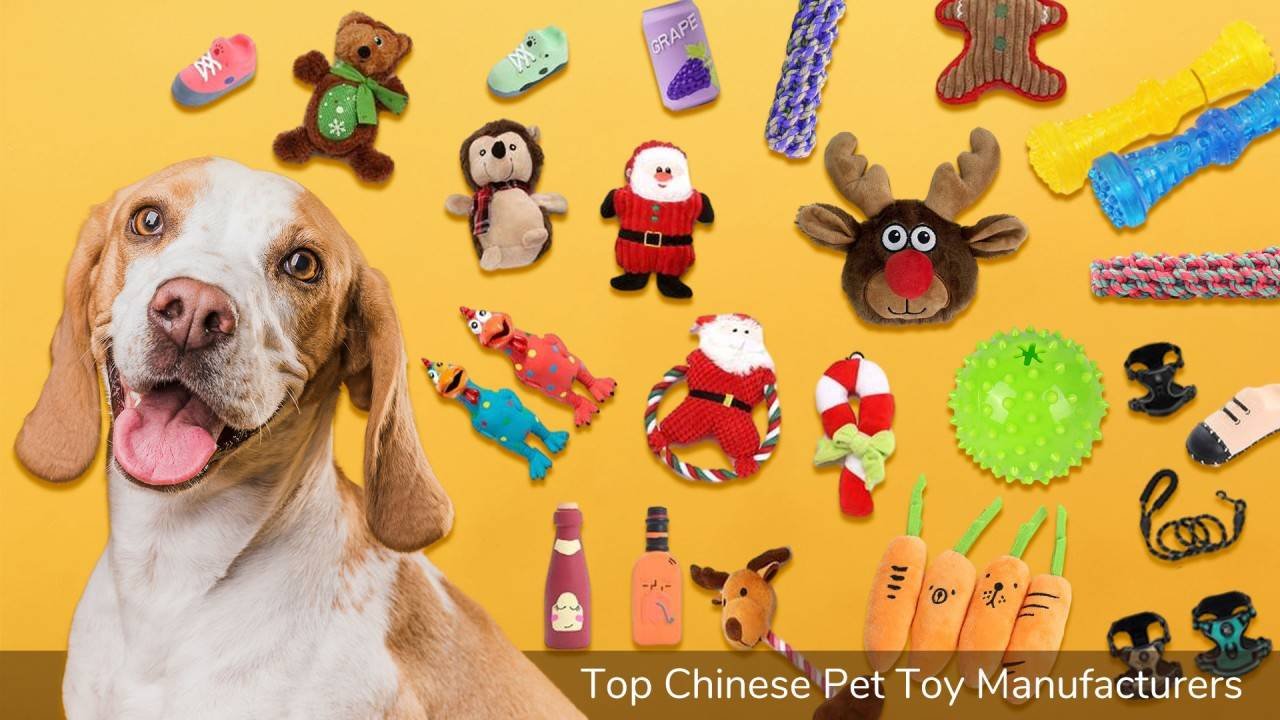 smart pet toys distributor manufacturing details