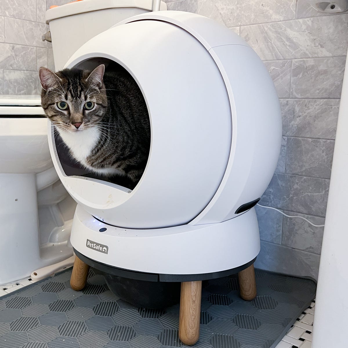 used self cleaning litter box manufacturing details