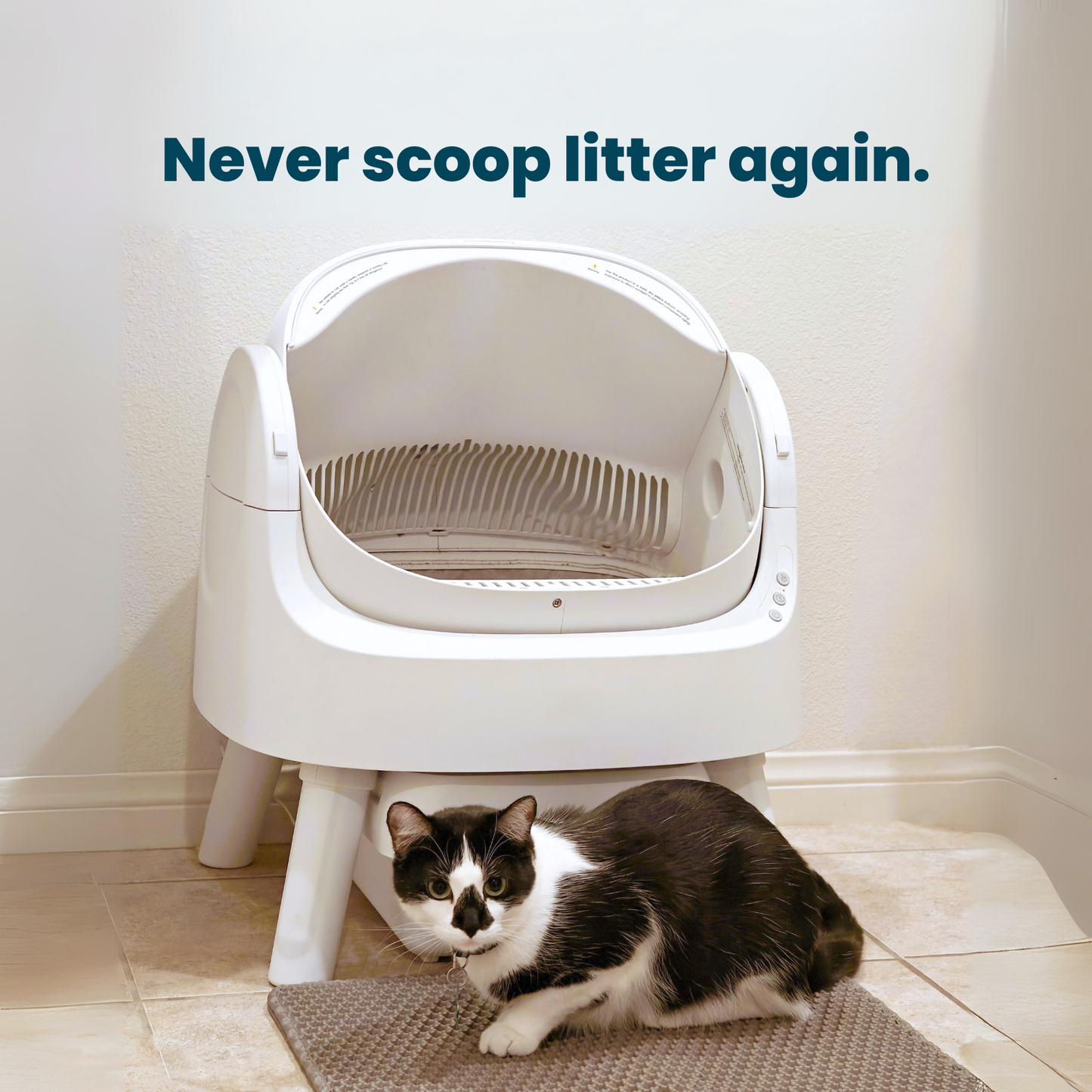 used self cleaning litter box manufacturing details