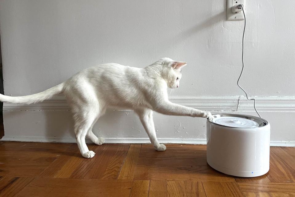 what is the best cat drinking fountain manufacturing details