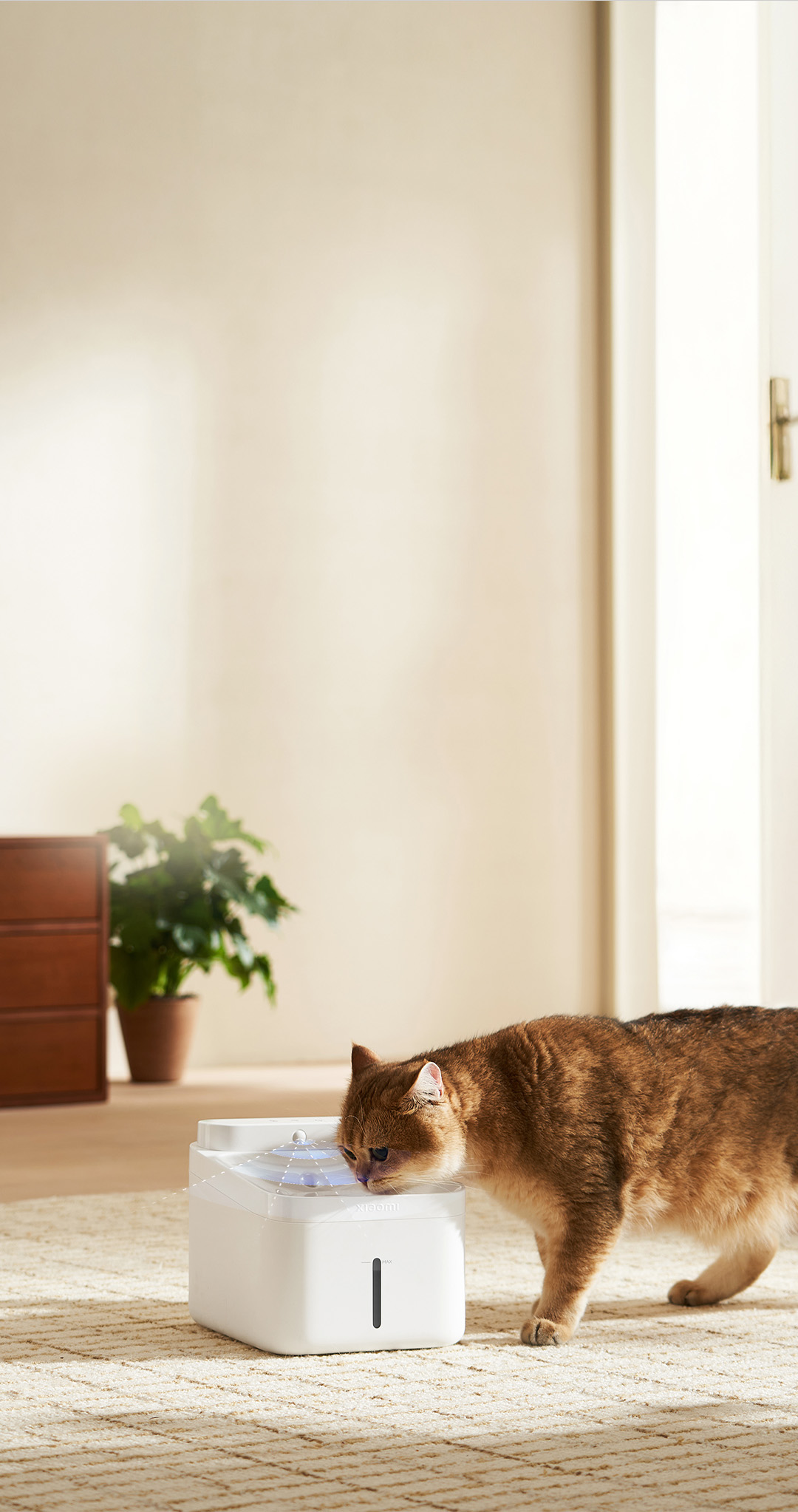 xiaomi cat manufacturing details